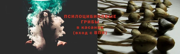 прущий лед Арсеньев