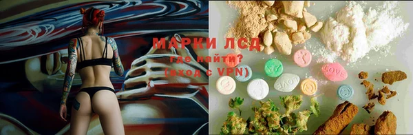 прущий лед Арсеньев